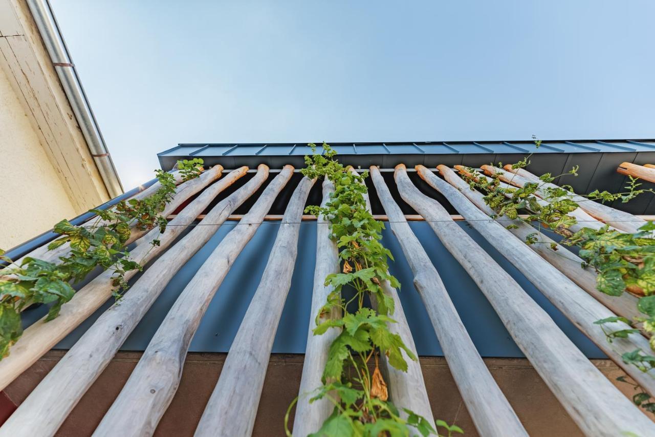 Gasthof Bogenrieder Pörnbach エクステリア 写真